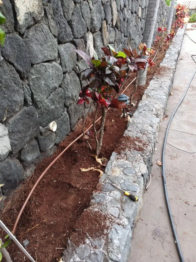 Affordable garden landscaping experts serving Holualoa, HI - Alex Landscapes