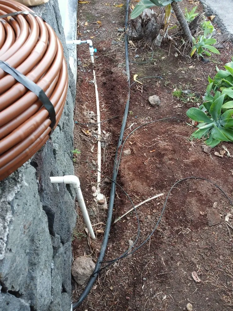 Custom outdoor landscaping experts serving Holualoa, HI - Alex Landscapes