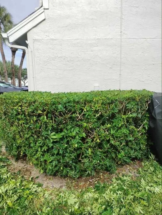 Professional lawn mowing service for homes across Hypoluxo, FL - Alex Landscaping & Lawn Service