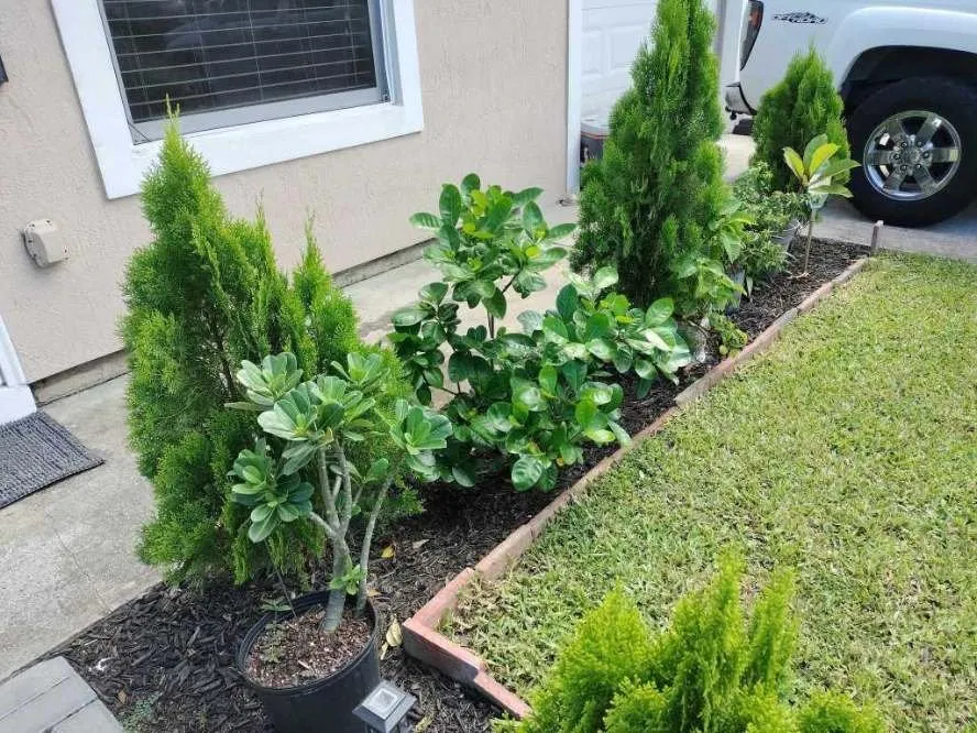 Local yard maintenance in Hypoluxo, FL by Alex Landscaping & Lawn Service