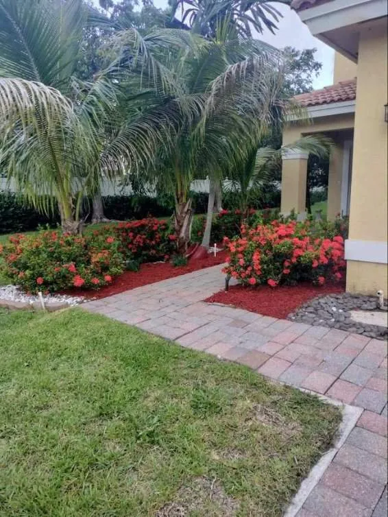 Local landscape installation near you in Hypoluxo, FL by Alex Landscaping & Lawn Service
