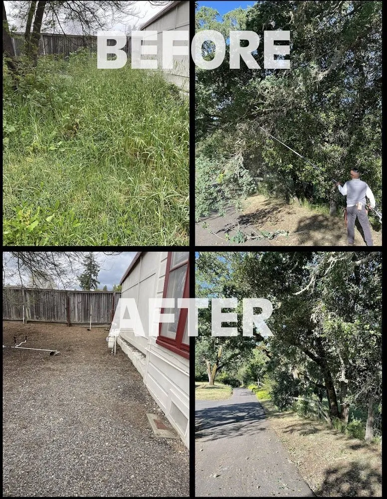 Affordable lawn care service in Santa Rosa, CA - Alex Landscaping And Maintenance