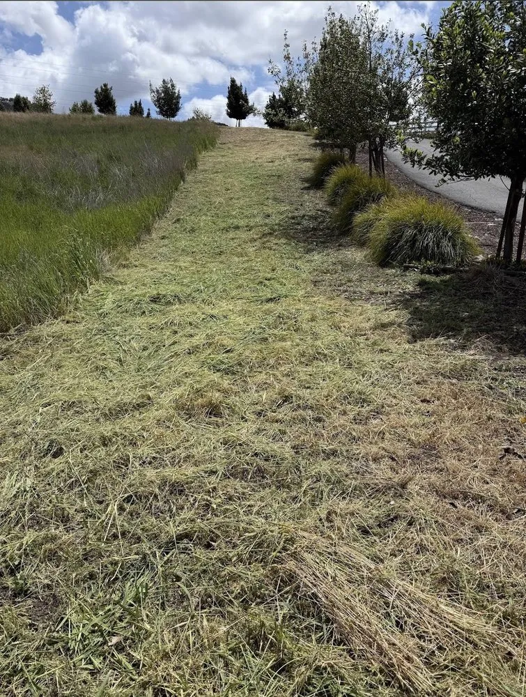 Local lawn mowing service in Santa Rosa, CA by Alex Landscaping And Maintenance