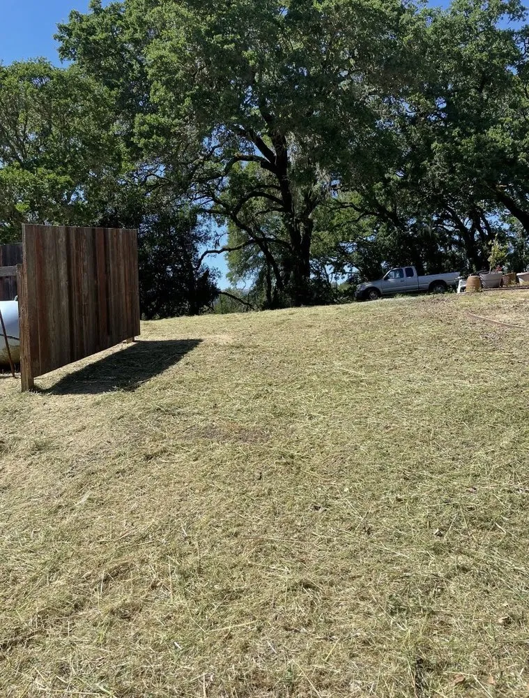 Custom yard maintenance in Santa Rosa, CA by Alex Landscaping And Maintenance