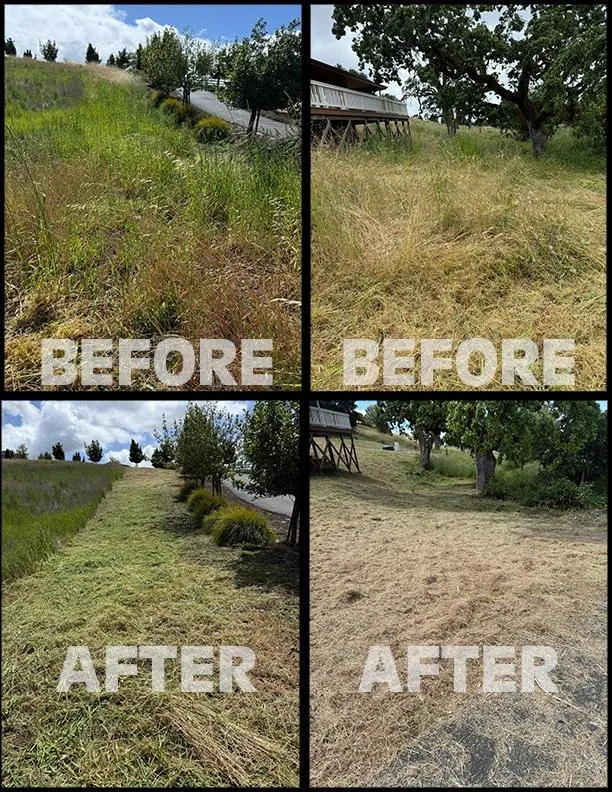 Top-rated landscaping services for residential properties across Santa Rosa, CA - Alex Landscaping And Maintenance