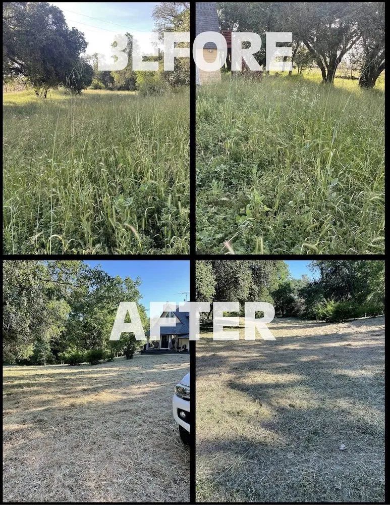 Professional lawn mowing service in Santa Rosa, CA by Alex Landscaping And Maintenance