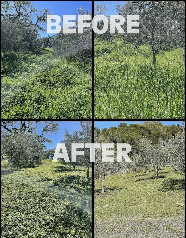 Custom landscape design in Santa Rosa, CA by Alex Landscaping And Maintenance