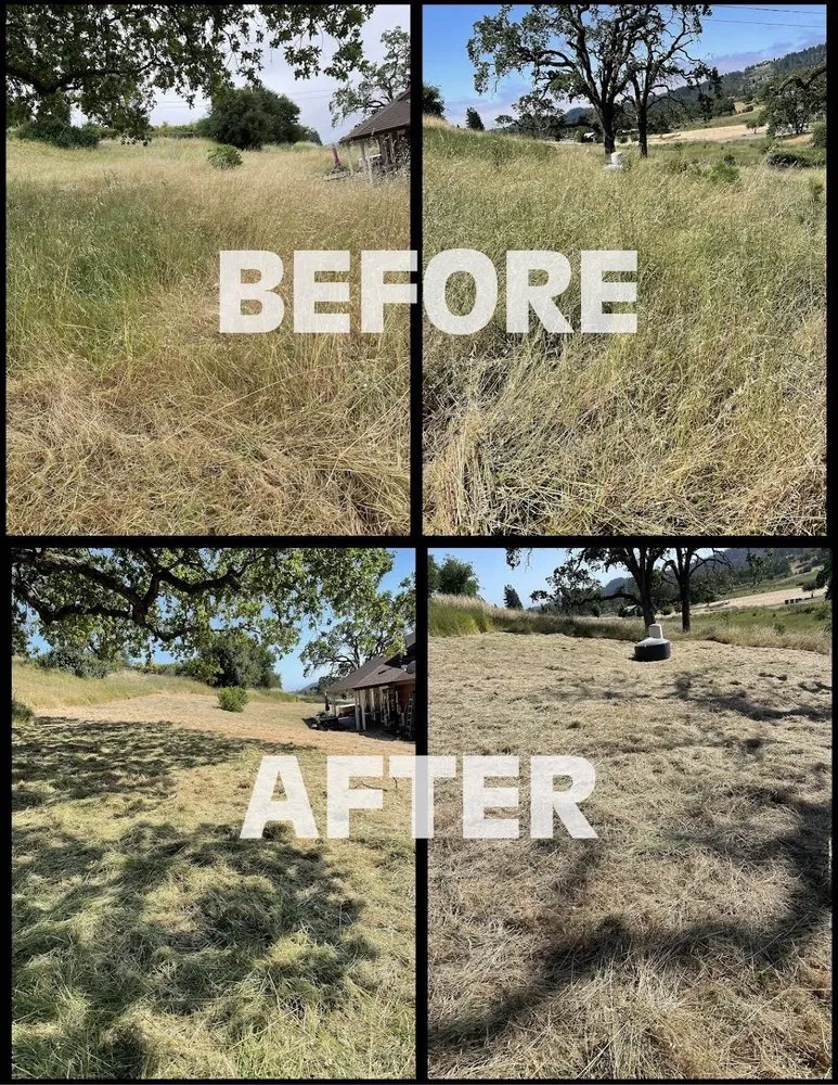 Reliable yard maintenance near you across Santa Rosa, CA - Alex Landscaping And Maintenance