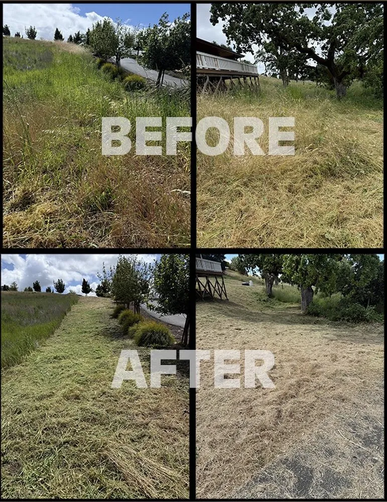 Expert lawn mowing service in Santa Rosa, CA by Alex Landscaping And Maintenance