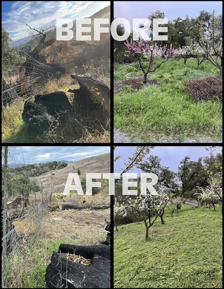 Professional yard maintenance experts serving Santa Rosa, CA - Alex Landscaping And Maintenance