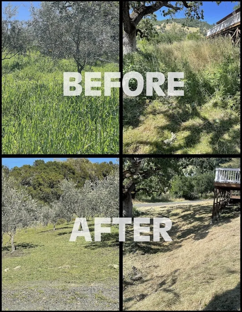 Top-rated yard maintenance for residential properties in Santa Rosa, CA by Alex Landscaping And Maintenance