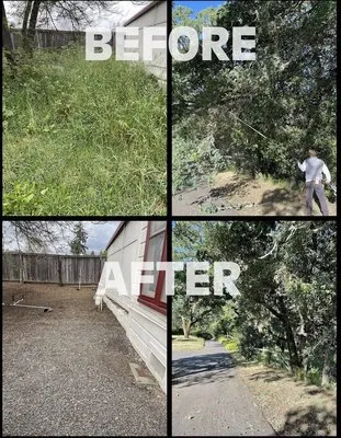 Alex Landscaping And Maintenance Logo