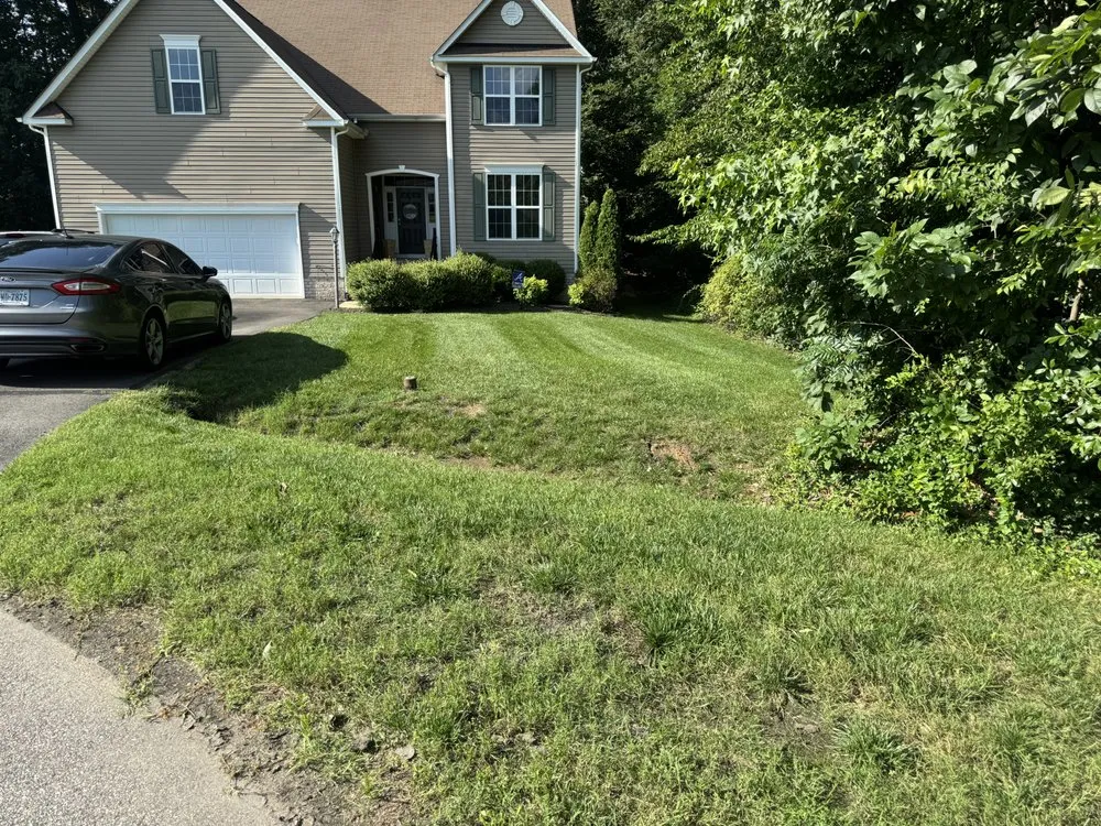 Local yard maintenance in Mechanicsville, VA by Alex Landscaping And Turf