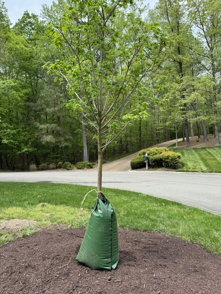Local yard maintenance in Mechanicsville, VA by Alex Landscaping And Turf