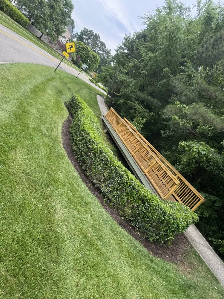Top-rated landscape installation in Mechanicsville, VA - Alex Landscaping And Turf
