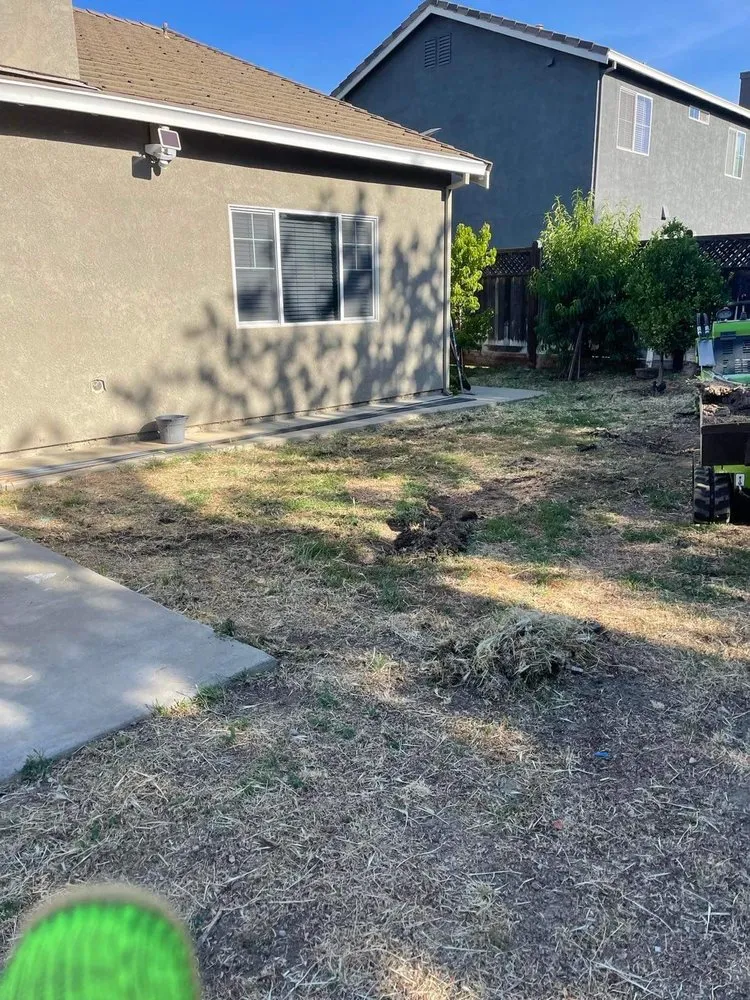 Top-rated yard maintenance for beautiful yards across Fairfield, CA - Alex Landscaping