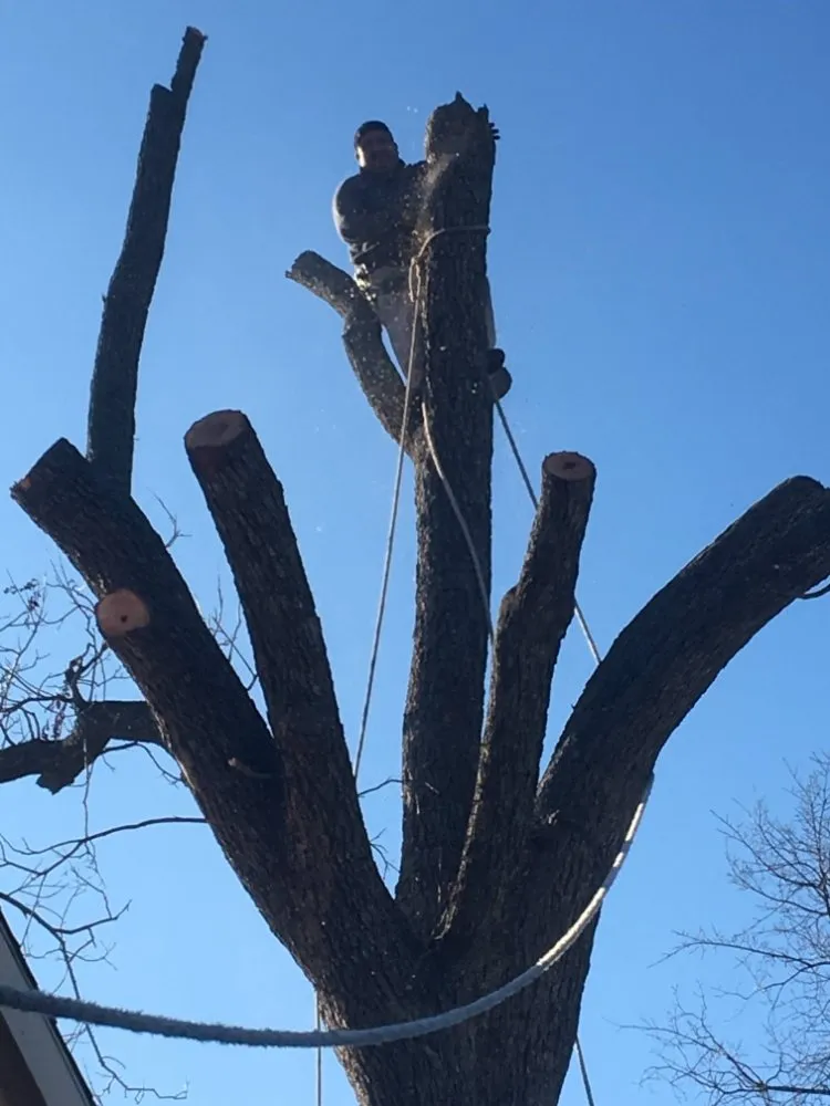 Expert lawn care service near you in Kaufman, TX by Alex Landscaping