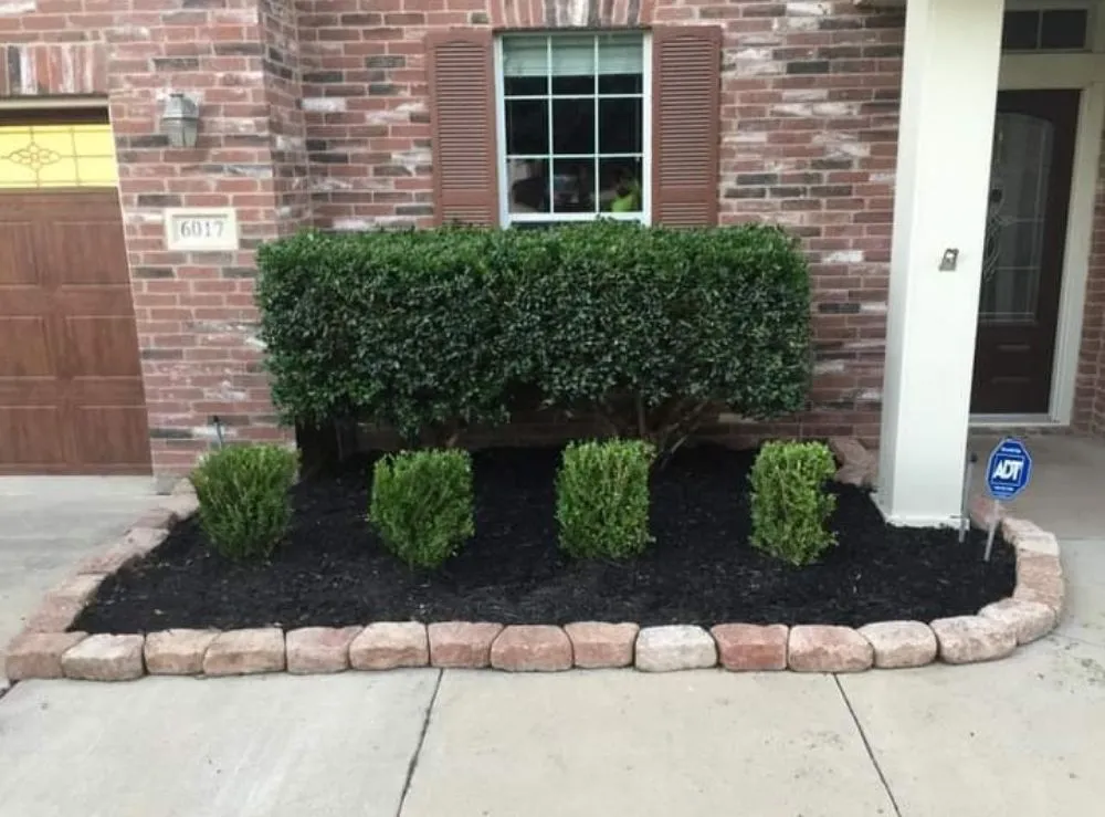 Top-rated lawn care service for beautiful yards across Kaufman, TX - Alex Landscaping