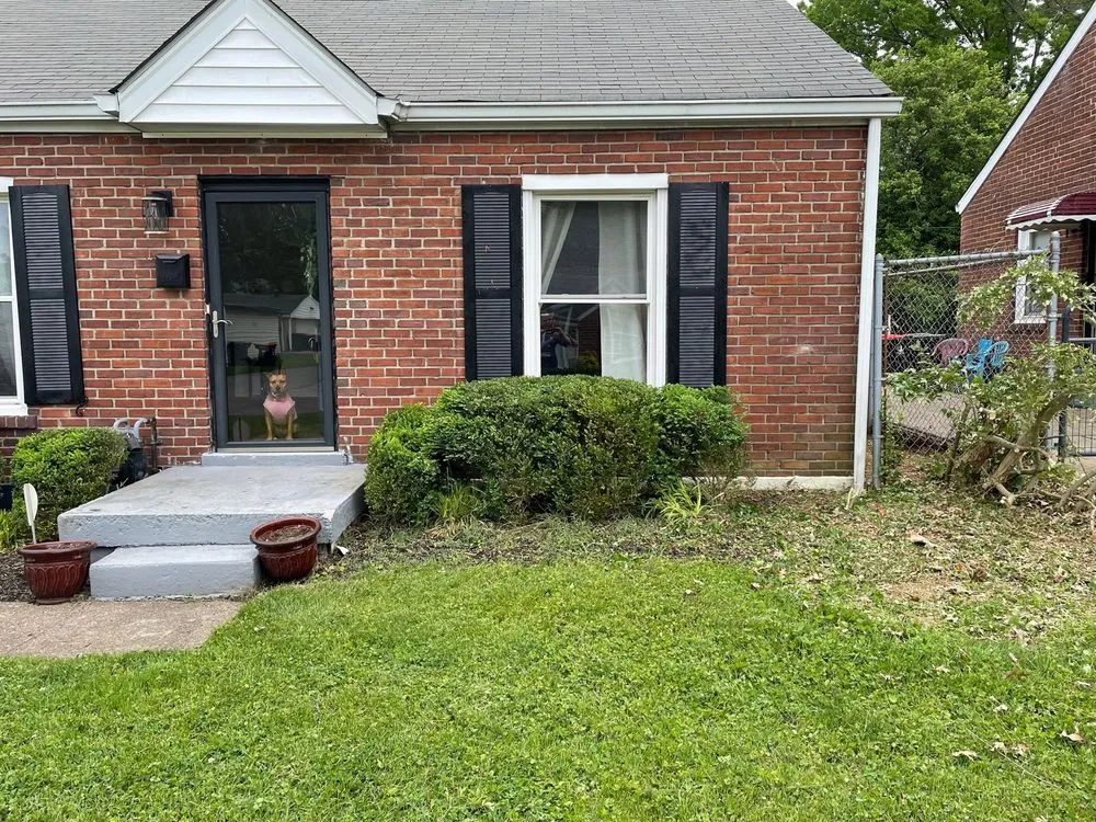 Custom yard cleanup service for residential properties in Louisville, KY by Alex Landscaping