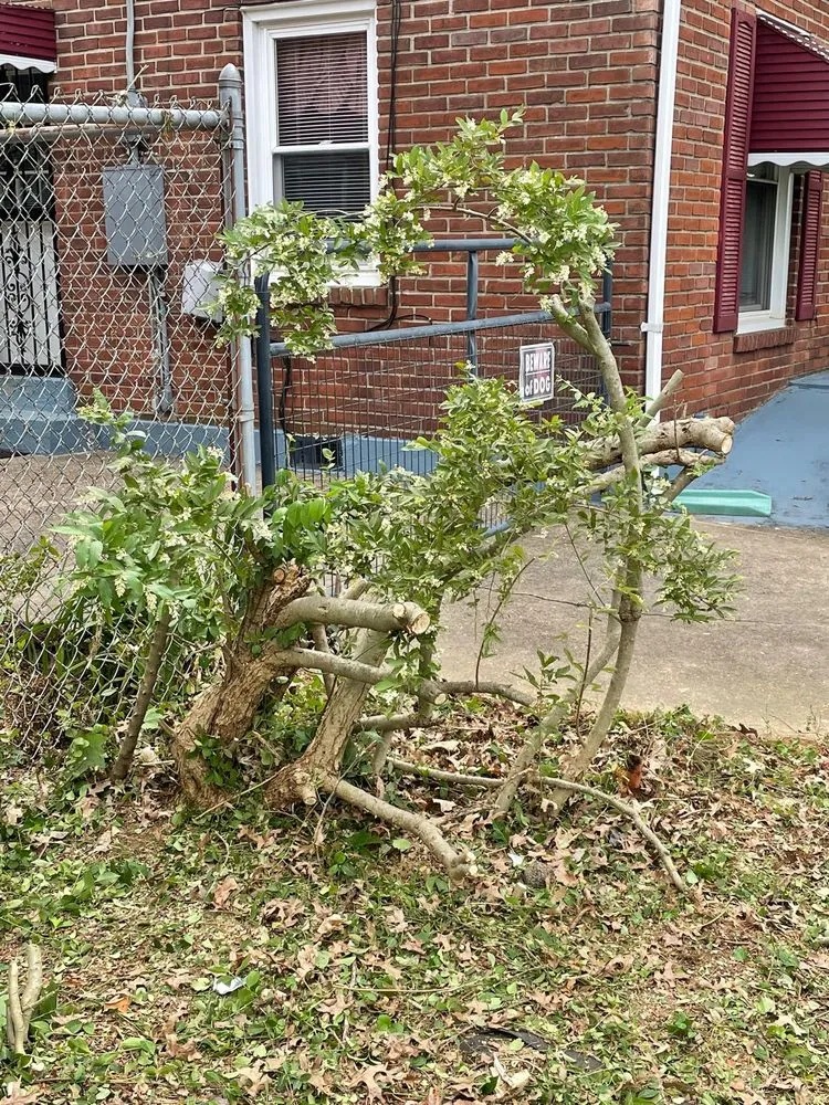 Reliable outdoor landscaping for beautiful yards across Louisville, KY - Alex Landscaping