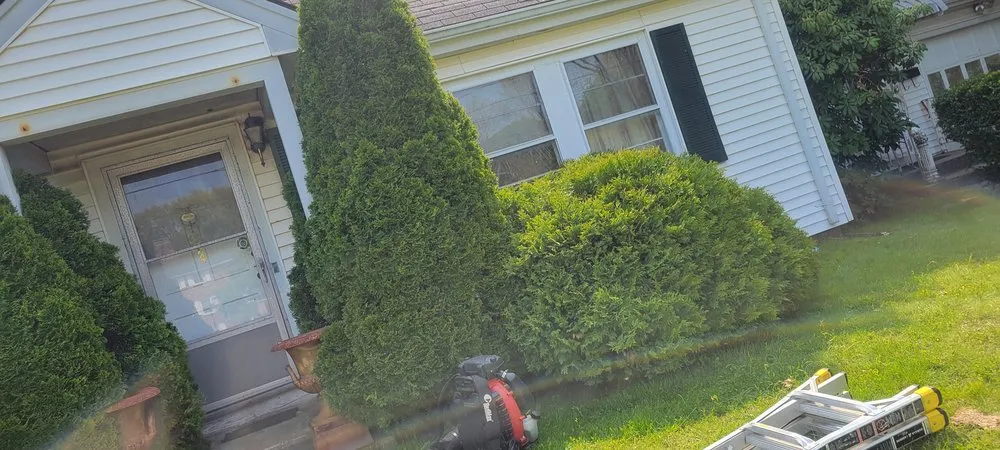 Custom garden landscaping for outdoor upgrades across Norwood, MA - Alex Landscaping