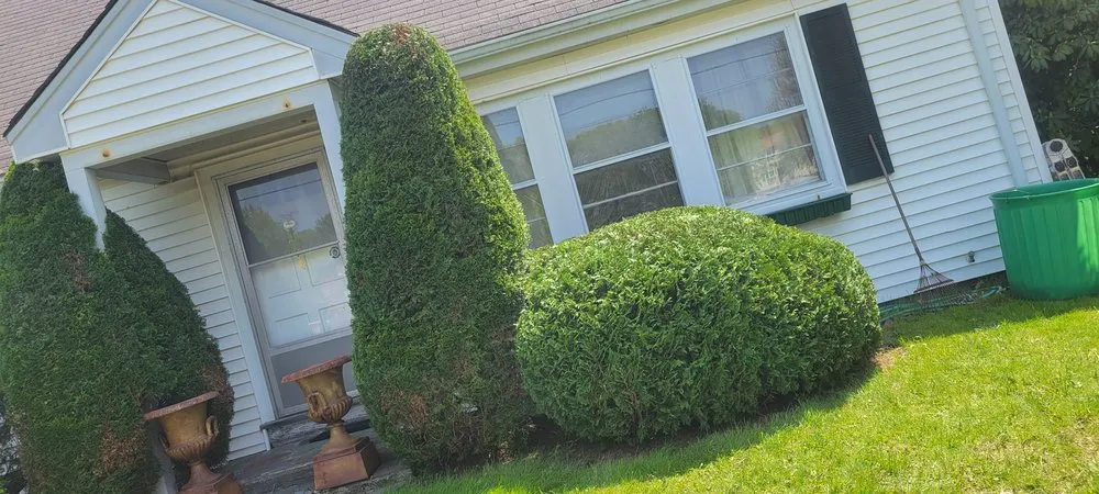 Expert landscape installation near you in Norwood, MA by Alex Landscaping