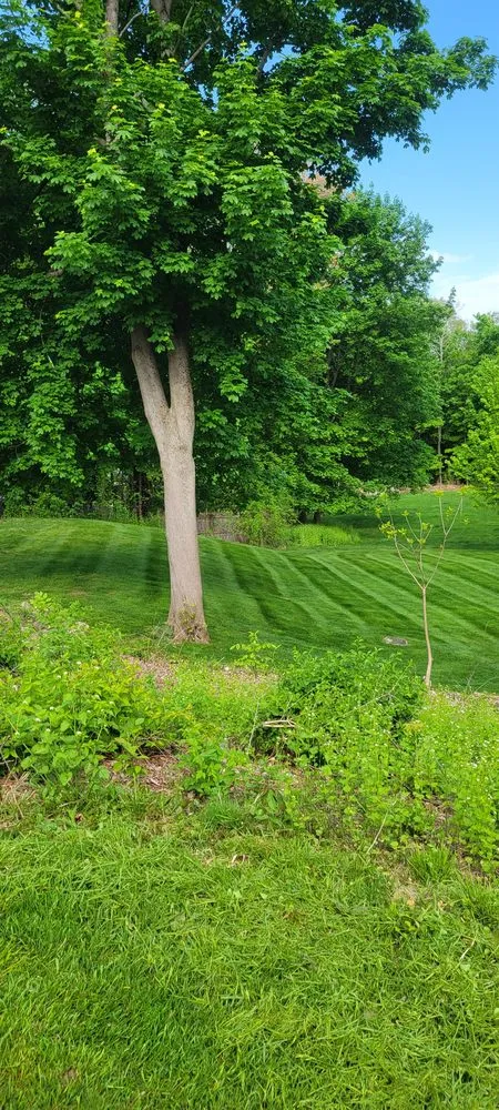 Professional landscaping services for residential properties across Norwood, MA - Alex Landscaping
