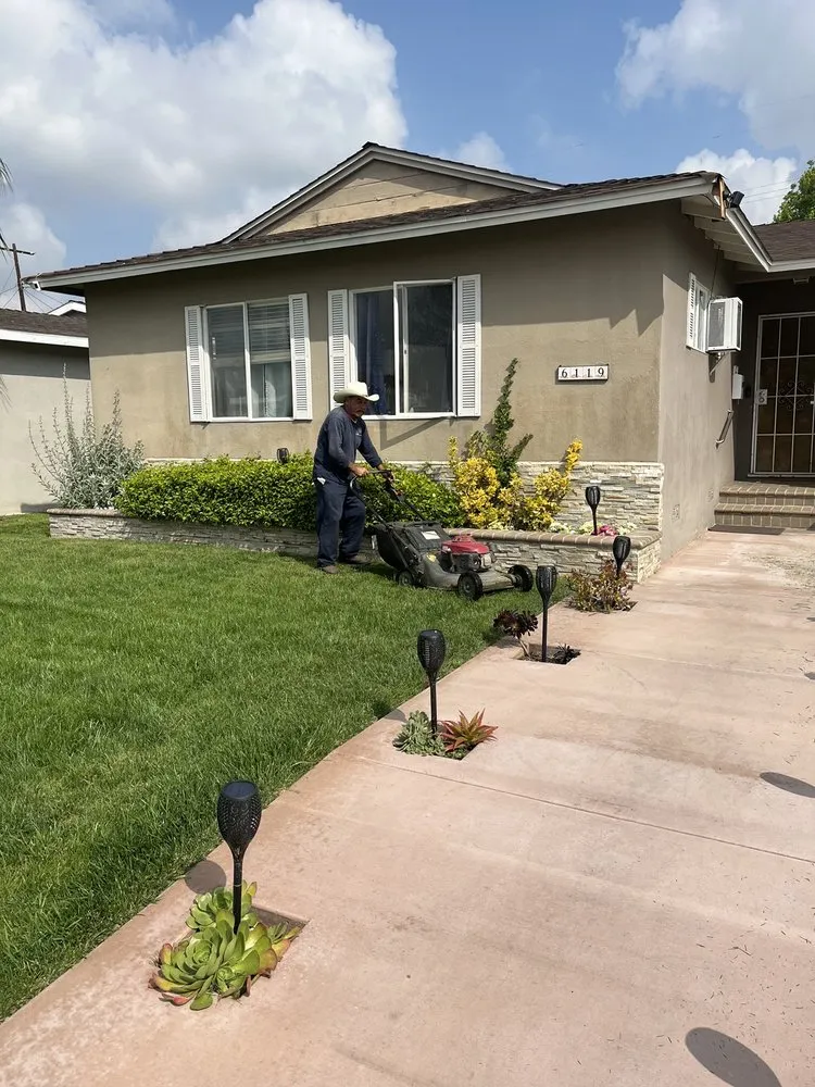Trusted landscaping services in Paramount, CA by Alex landscaping