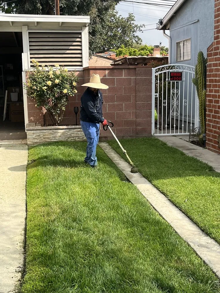 Affordable residential landscaping experts serving Paramount, CA - Alex landscaping
