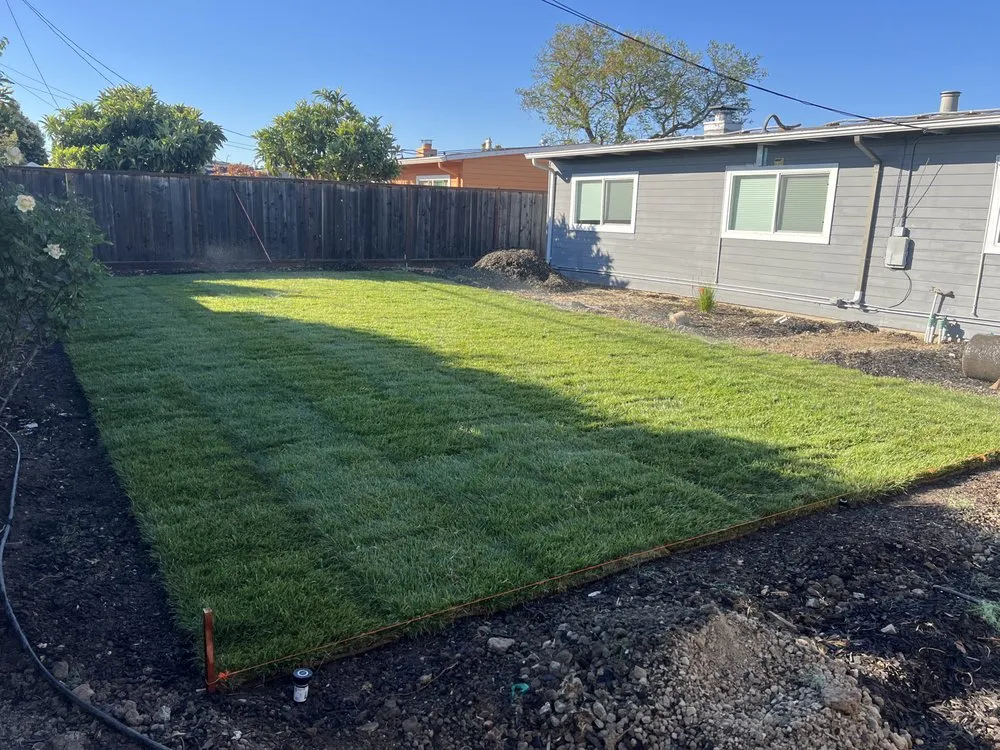 Top-rated landscape design in San Mateo, CA by Alex Landscaping