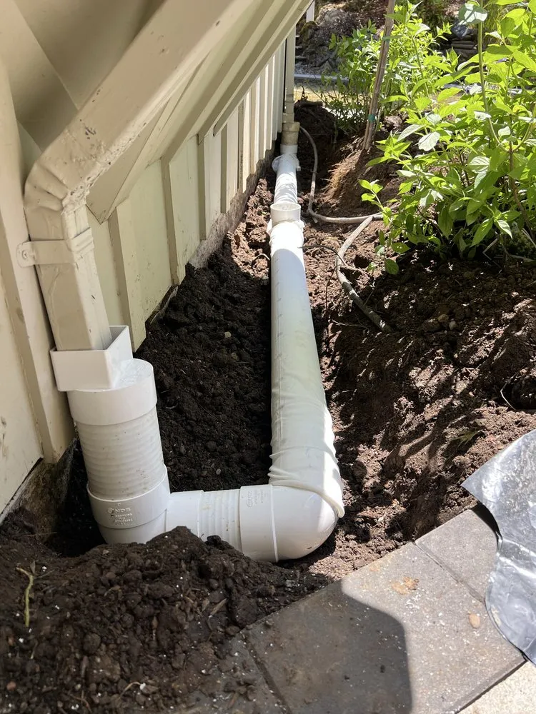 Top-rated yard cleanup service for homes across San Mateo, CA - Alex Landscaping