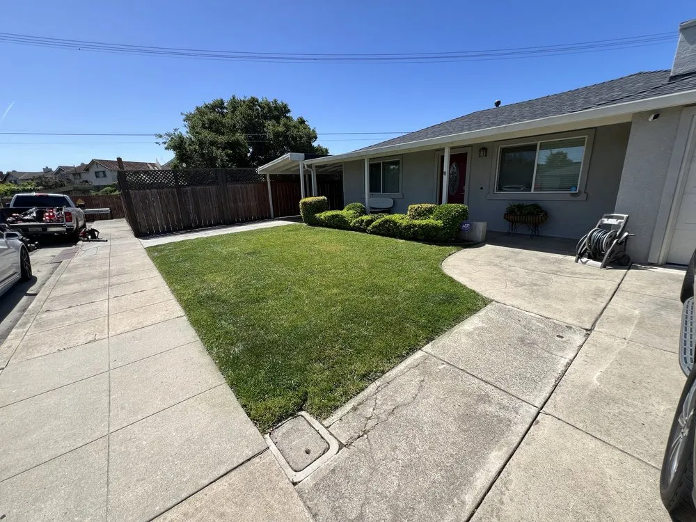 Reliable yard maintenance for outdoor upgrades across San Mateo, CA - Alex Landscaping