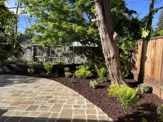 Alex Landscaping Logo