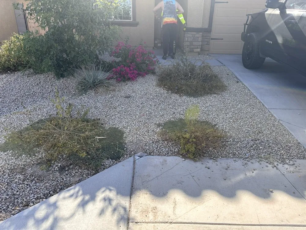 Professional landscape design for outdoor upgrades across Buckeye, AZ - Alex Landscaping Services