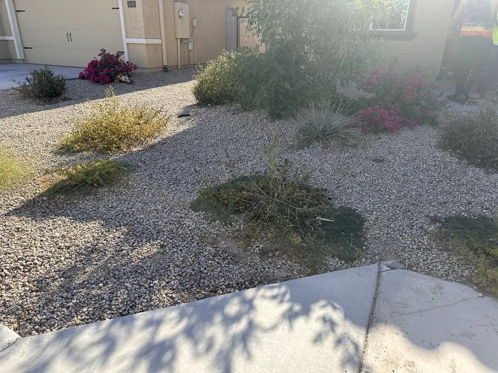Affordable residential landscaping near you across Buckeye, AZ - Alex Landscaping Services