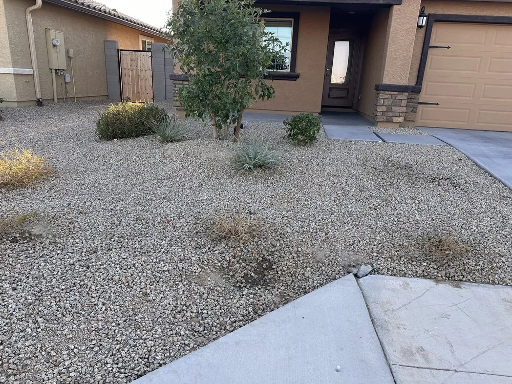 Reliable lawn mowing service in Buckeye, AZ by Alex Landscaping Services