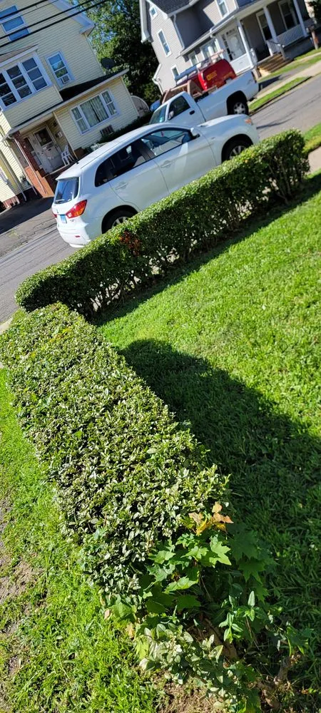 Reliable landscape installation for outdoor upgrades in New Haven, CT by Alex Landscaping Services