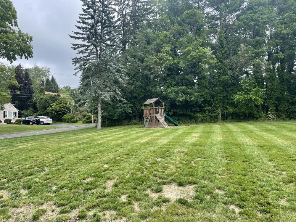 Affordable yard cleanup service experts serving New Haven, CT - Alex Landscaping Services