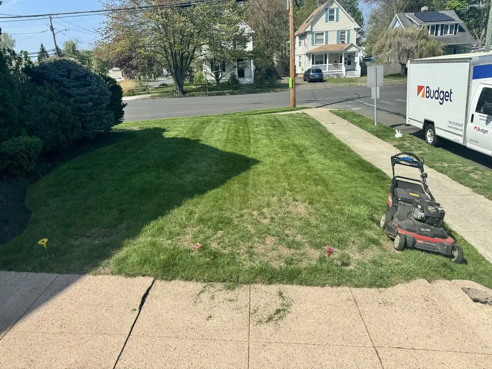 Professional lawn care service in New Haven, CT by Alex Landscaping Services