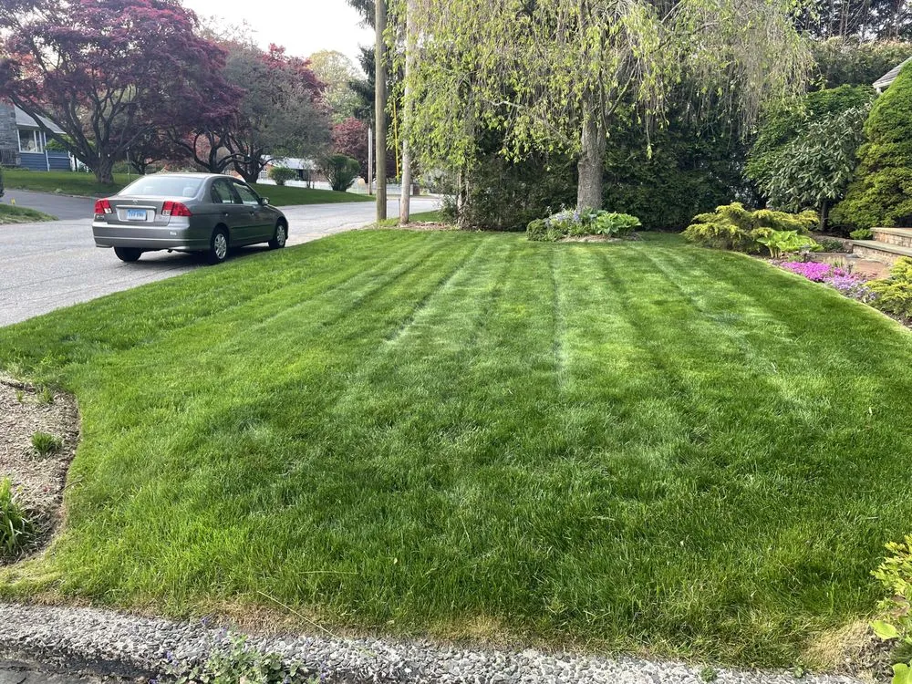 Custom lawn care service for beautiful yards across New Haven, CT - Alex Landscaping Services