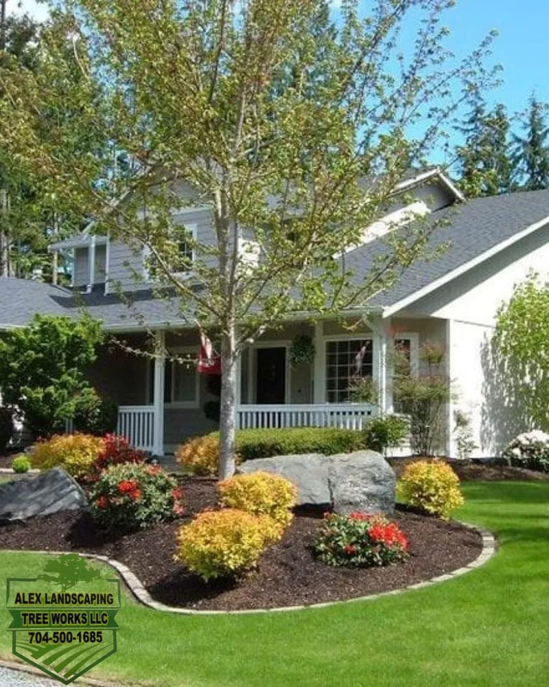 Affordable residential landscaping for year-round maintenance in Statesville, NC by Alex Landscaping Tree Works