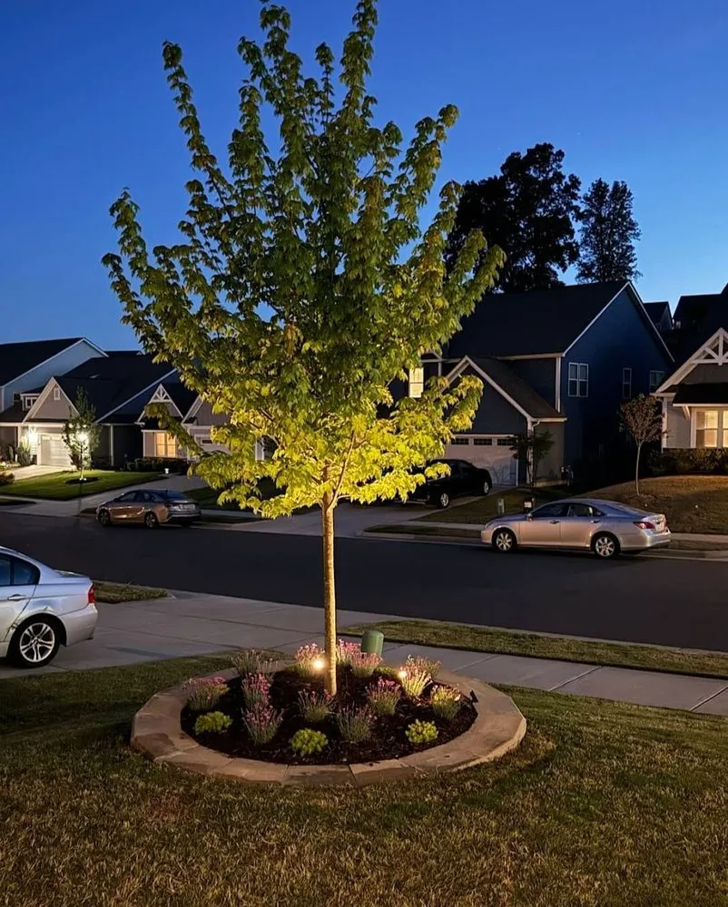 Affordable yard cleanup service for homes in Statesville, NC by Alex Landscaping Tree Works