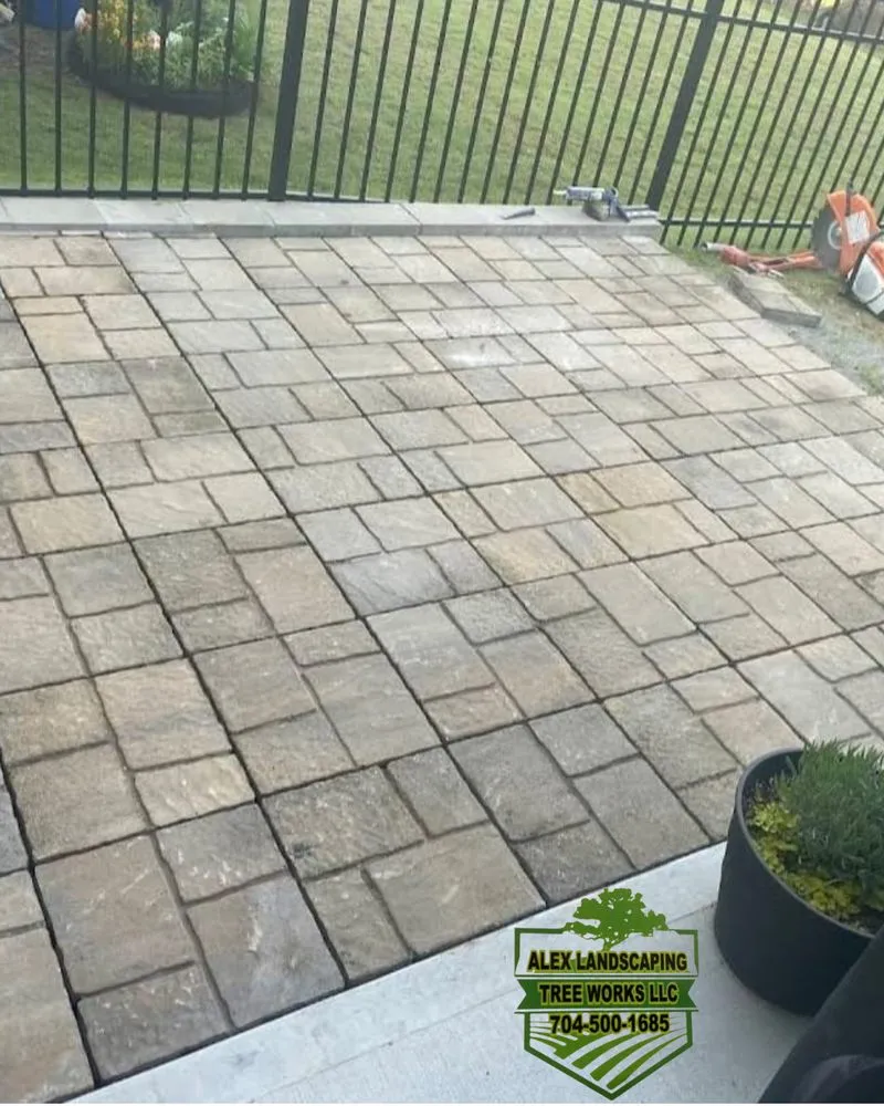 Expert yard cleanup service near you across Statesville, NC - Alex Landscaping Tree Works