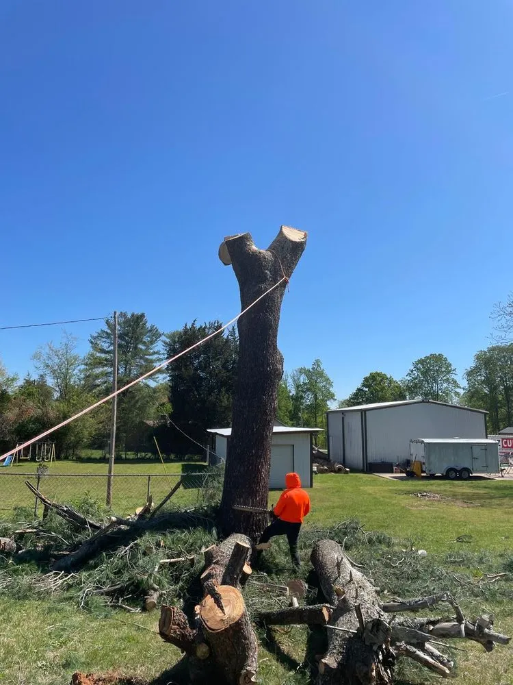 Reliable landscape design experts serving Statesville, NC - Alex Landscaping Tree Works