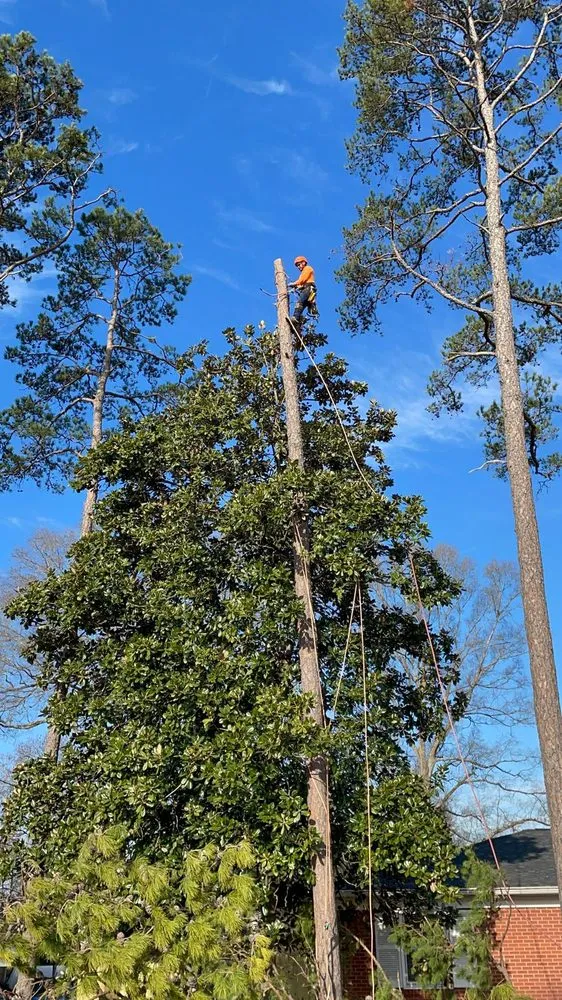 Expert garden landscaping in Statesville, NC by Alex Landscaping Tree Works