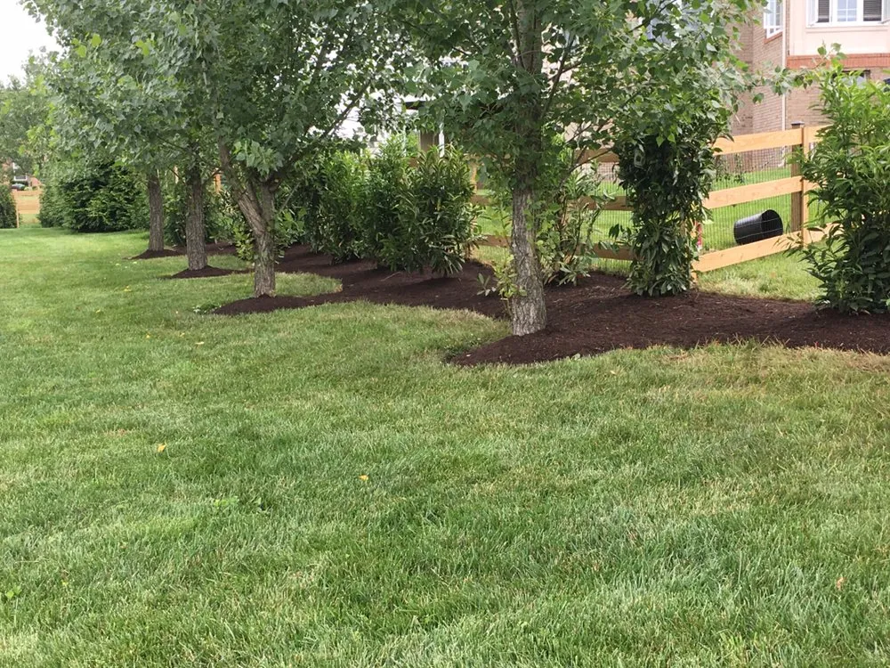 Expert outdoor landscaping for outdoor upgrades across Gainesville, VA - Alex Lawn care & landcaping