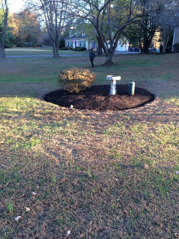 Reliable landscape design near you in Gainesville, VA by Alex Lawn care & landcaping