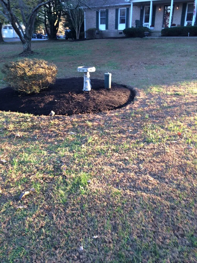 Expert lawn mowing service for residential properties in Gainesville, VA by Alex Lawn care & landcaping