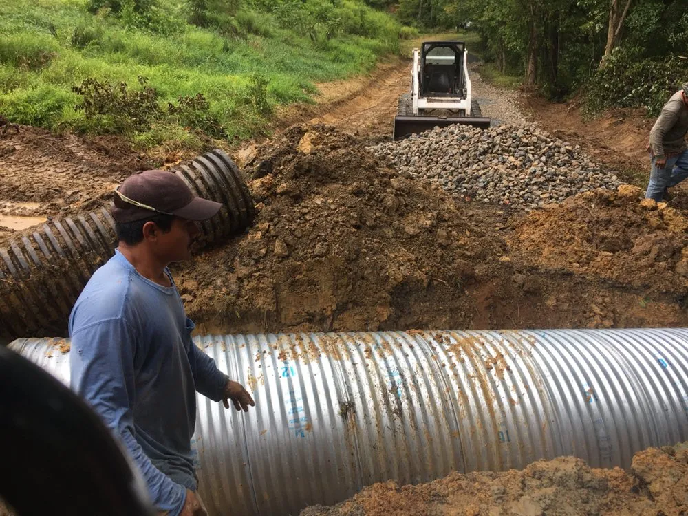 Expert yard maintenance in Gainesville, VA by Alex Lawn care & landcaping