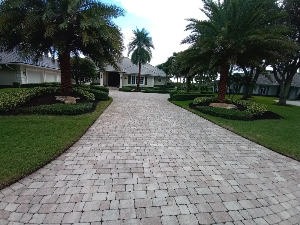 Professional yard cleanup service experts serving Lake Worth, FL - Alex Lawn Care